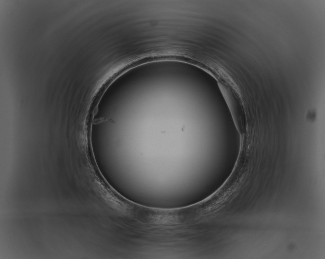 X0000095670789200801151103