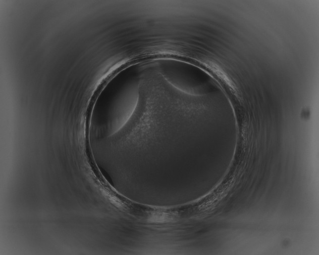 X0000095670790200801151103