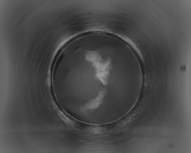 X0000095670791200801151103