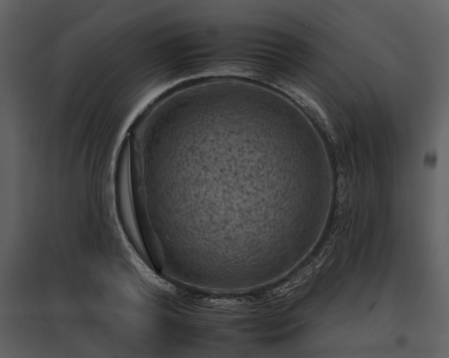 X0000095670792200801151103