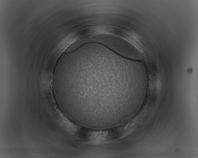 X0000095670793200801151103