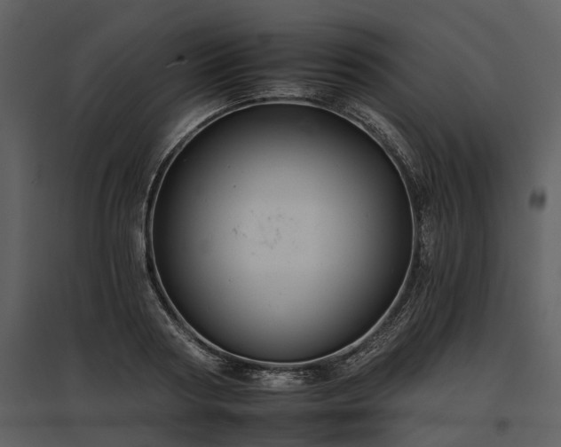 X0000095670794200801151103