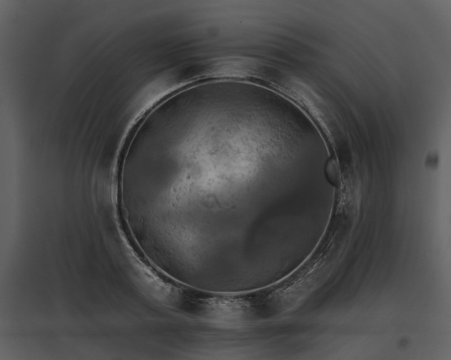 X0000095670795200801151103