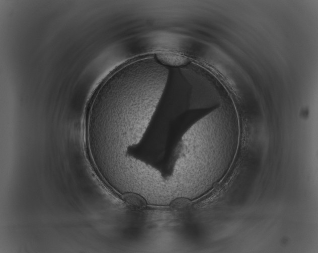 X0000095670796200801151103