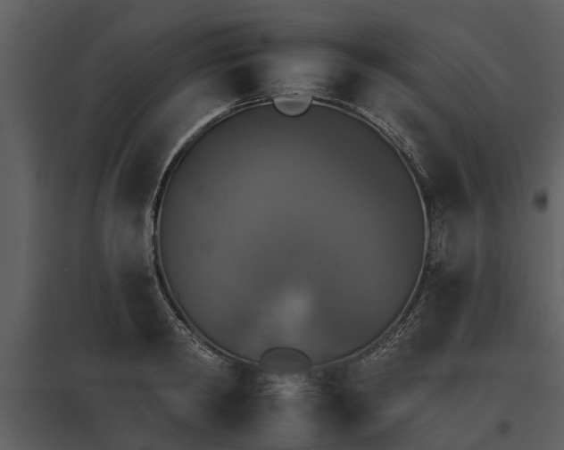 X0000095670798200801151102