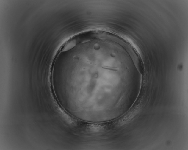 X0000095670799200801151102