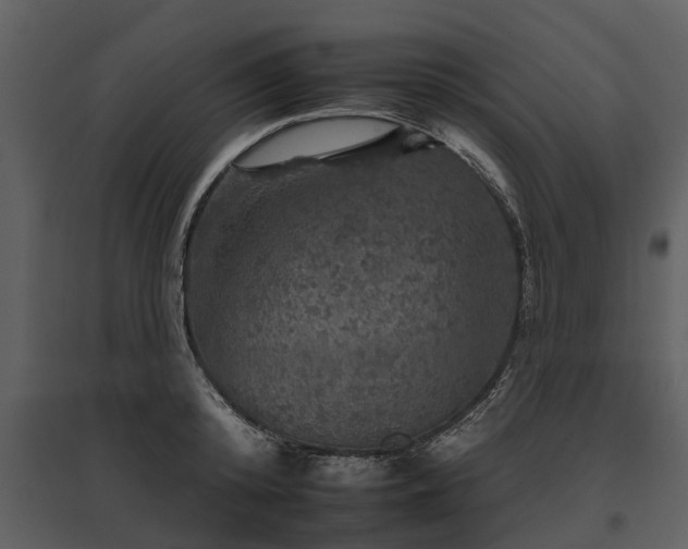 X0000095670800200801151102