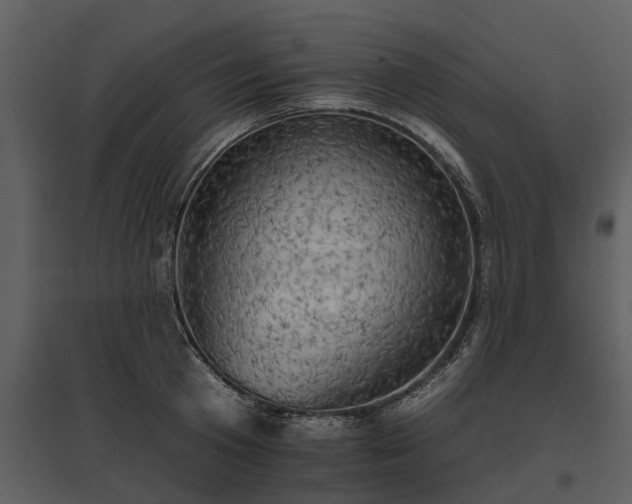 X0000095670801200801151102