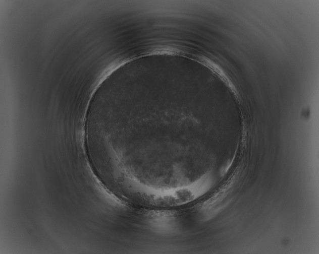 X0000095670802200801151102