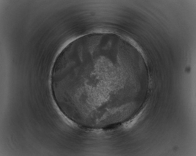 X0000095670803200801151102