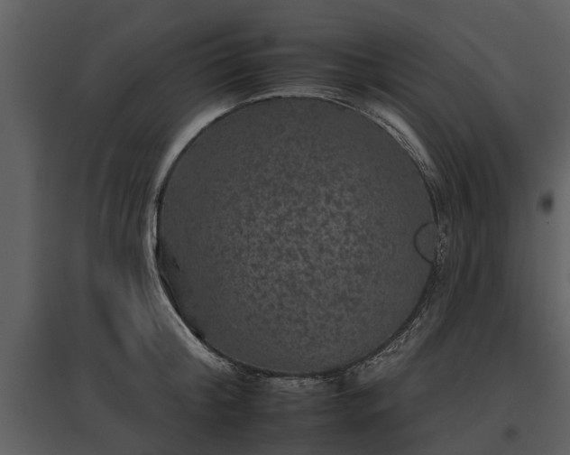 X0000095670804200801151102