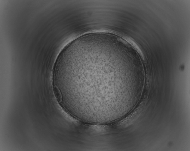 X0000095670805200801151102