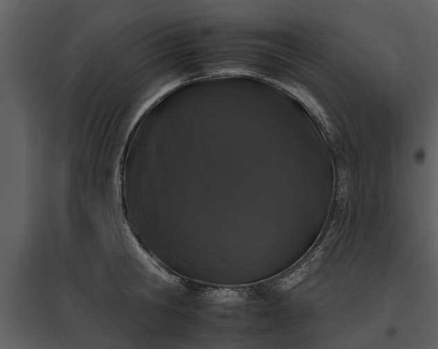 X0000095670806200801151102