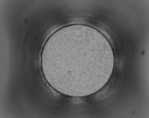 X0000095670807200801151102