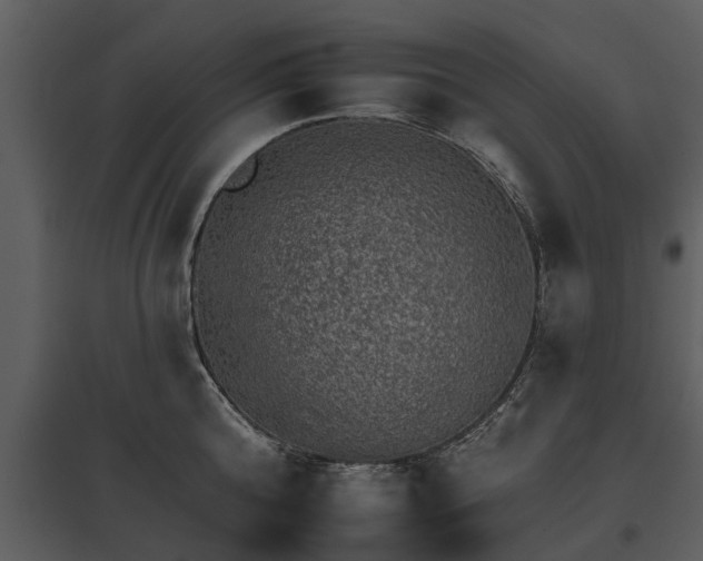 X0000095670808200801151102