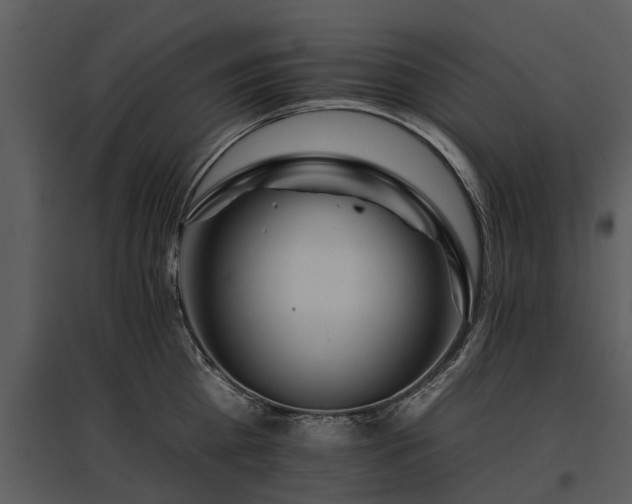 X0000095670809200801151102