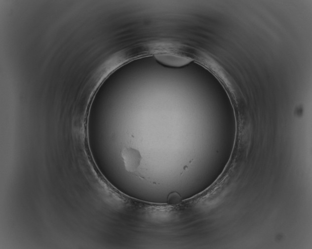 X0000095670810200801151102