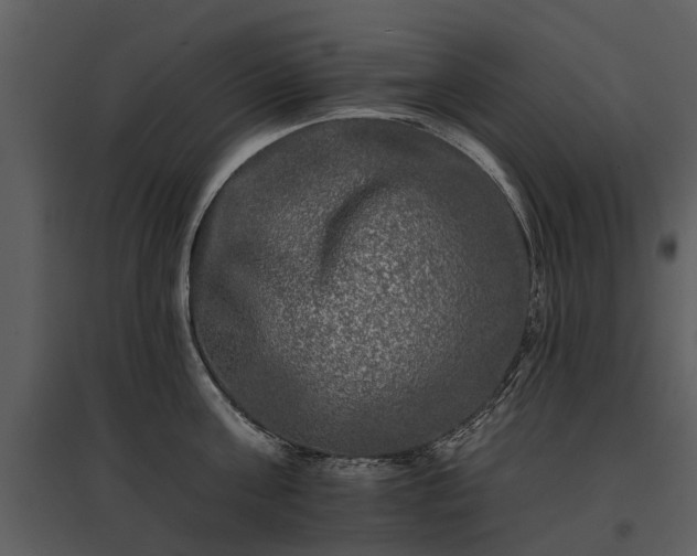 X0000095670811200801151102