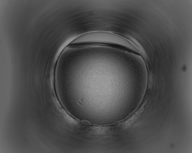 X0000095670812200801151102