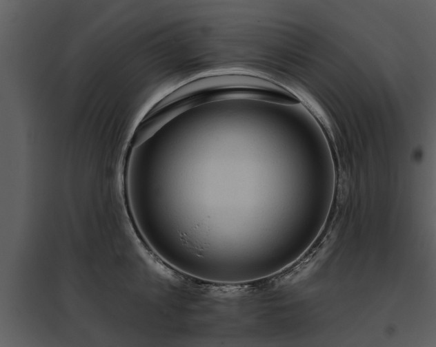 X0000095670813200801151102