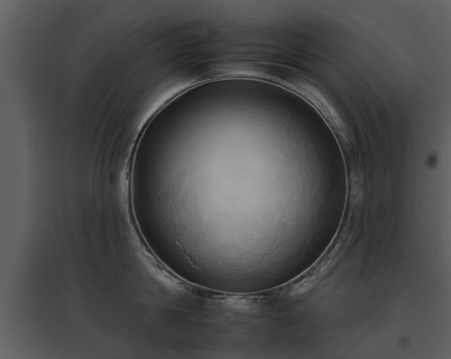 X0000095670814200801151102