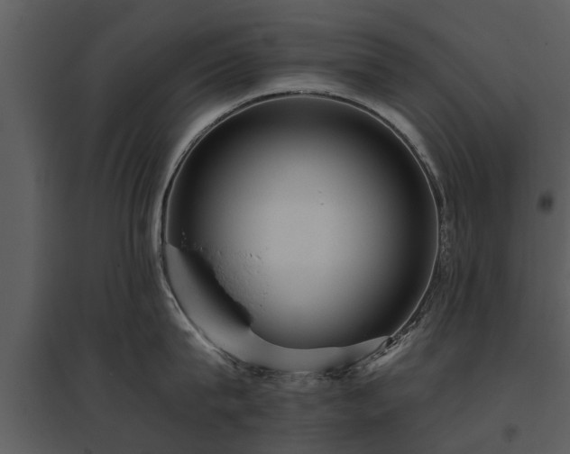 X0000095670815200801151102