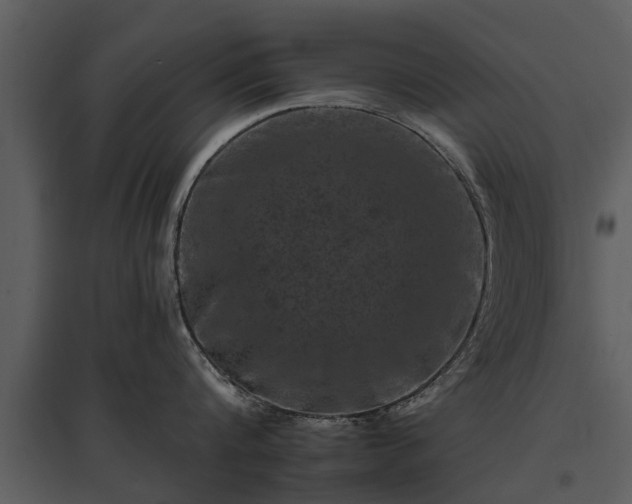 X0000095670816200801151102