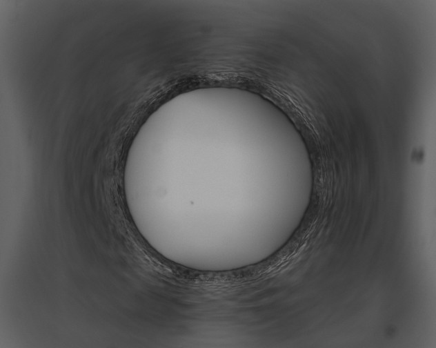 X0000095670817200801151102