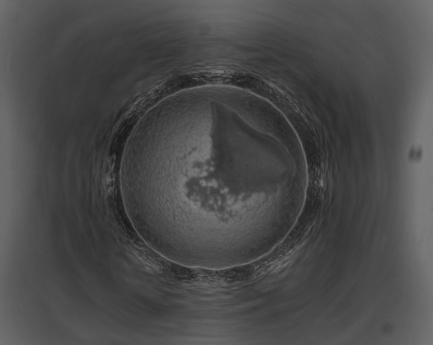 X0000095670818200801151102