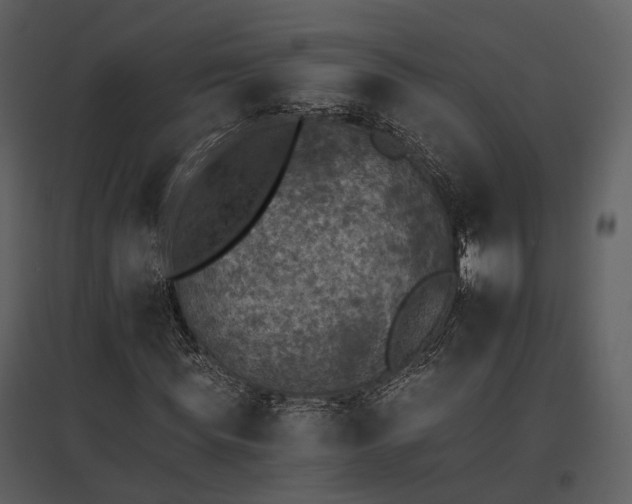 X0000095670819200801151102