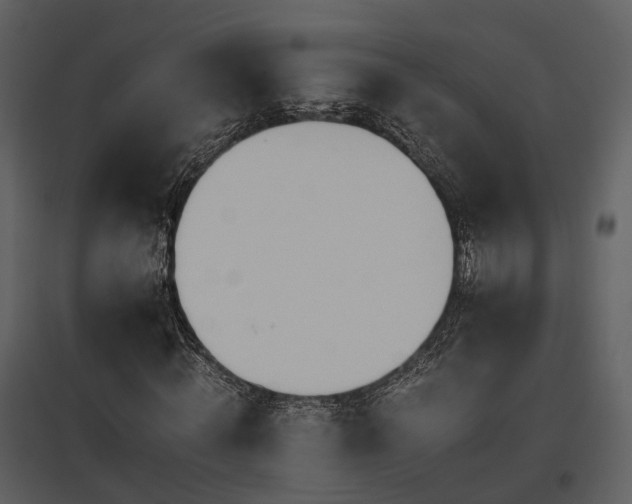 X0000095670820200801151102