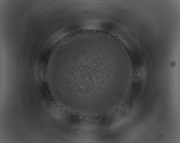 X0000095670821200801151102