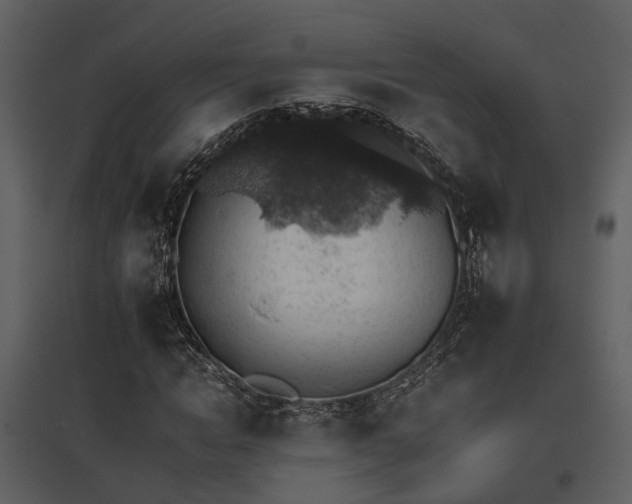 X0000095670822200801151102