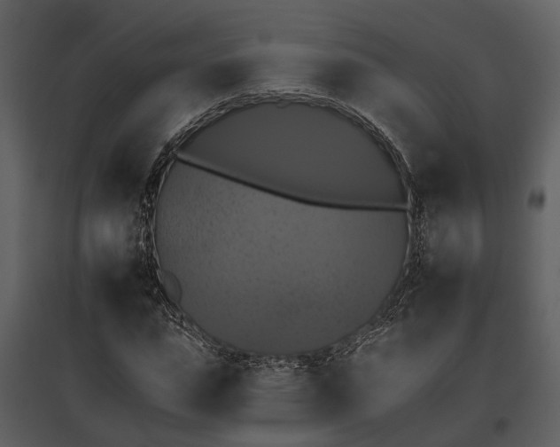 X0000095670823200801151102