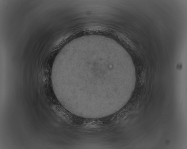 X0000095670824200801151102