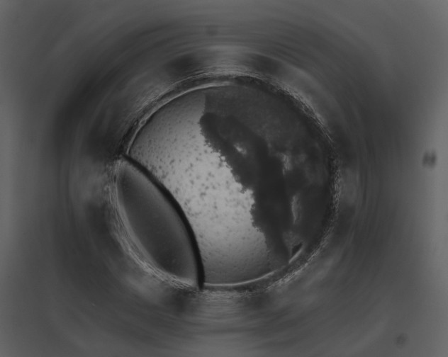 X0000095670825200801151102