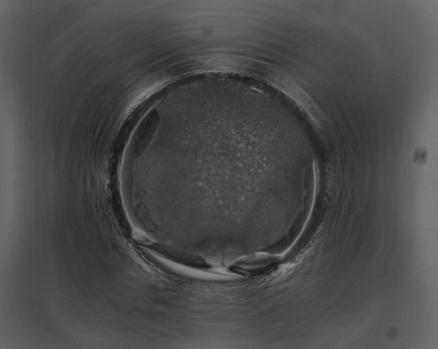 X0000095670826200801151102