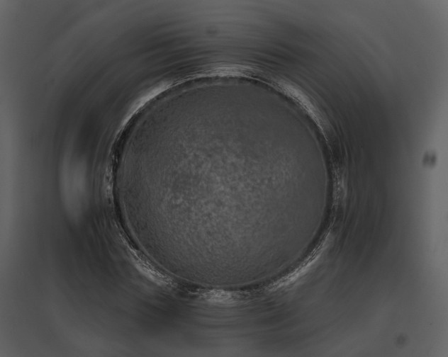 X0000095670827200801151102