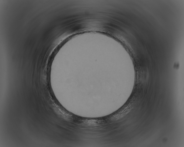 X0000095670828200801151102