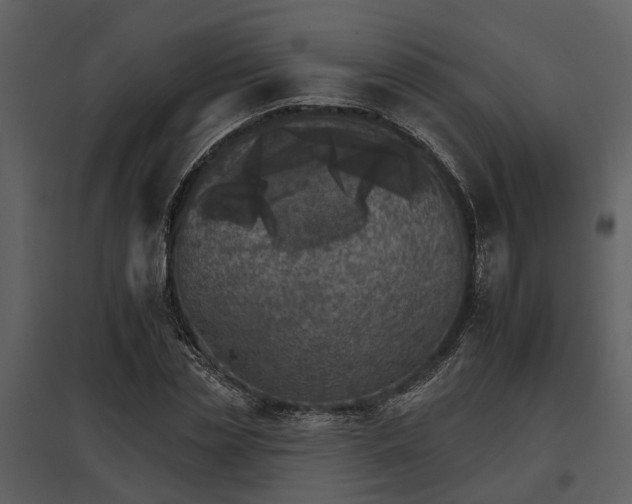 X0000095670829200801151102