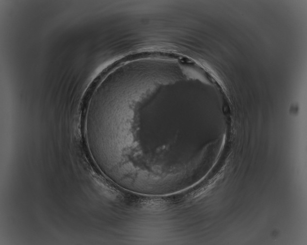 X0000095670830200801151102