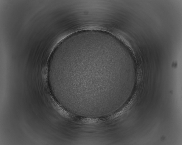 X0000095670831200801151102