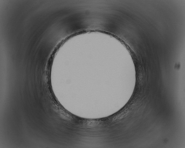 X0000095670832200801151102