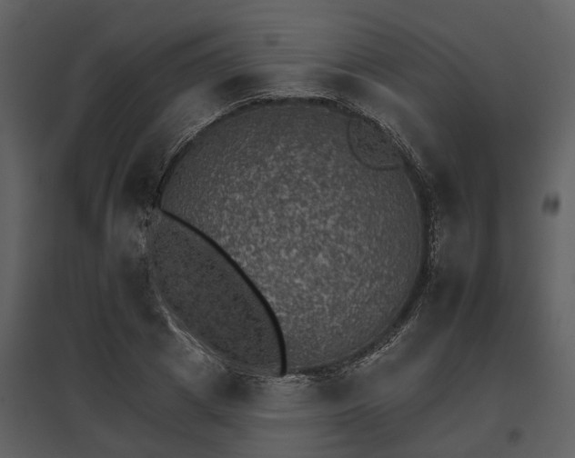 X0000095670833200801151102