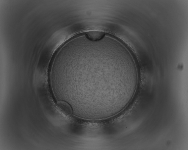 X0000095670834200801151102