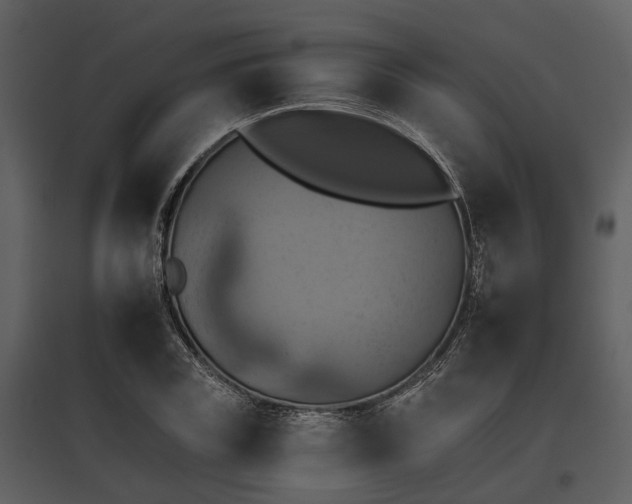 X0000095670835200801151102