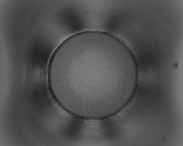 X0000095670836200801151102