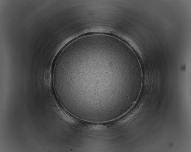 X0000095670837200801151102