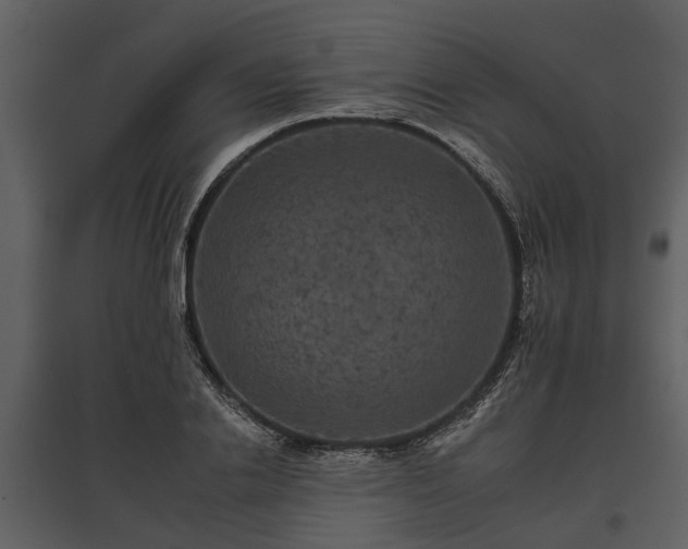 X0000095670838200801151102