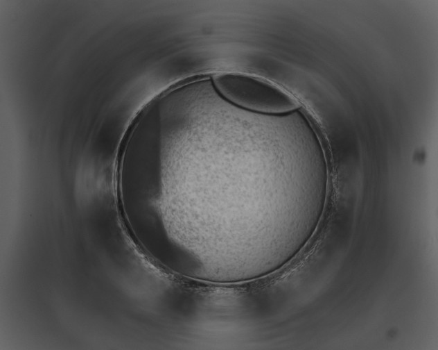 X0000095670839200801151102